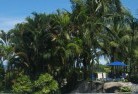 Cairns Baytropical-landscaping-12.jpg; ?>